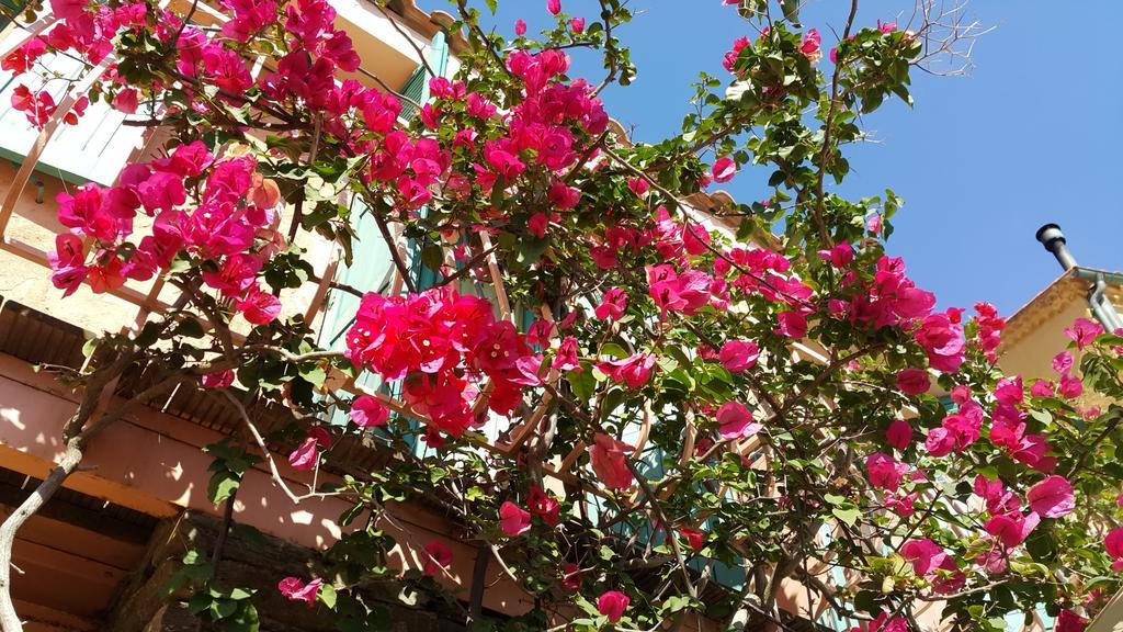 Hostellerie Provencale Пор-Кро Экстерьер фото